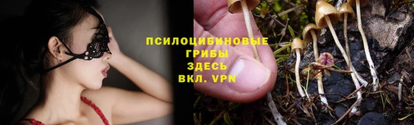 спайс Аркадак