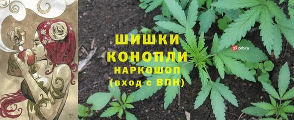 спайс Аркадак