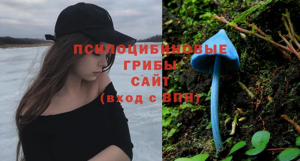a pvp Алексеевка