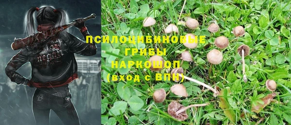 амф Армянск